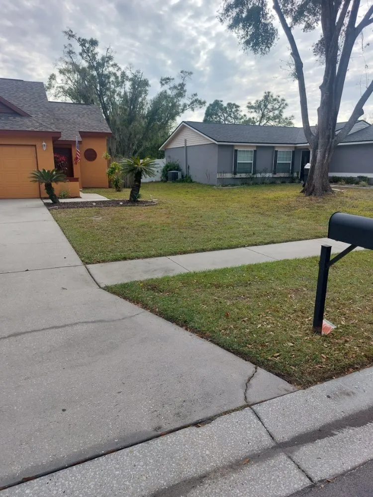 Professional yard cleanup service experts serving Land O Lakes, FL - Eric's Handyman Services