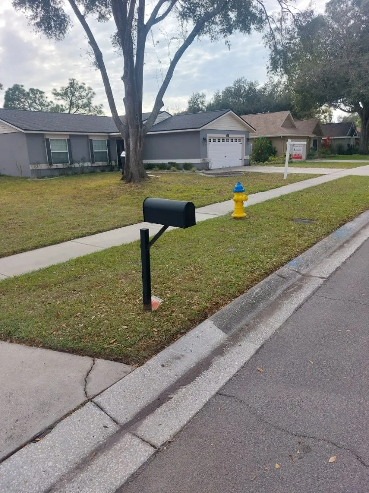 Professional landscaping services for beautiful yards in Land O Lakes, FL by Eric's Handyman Services