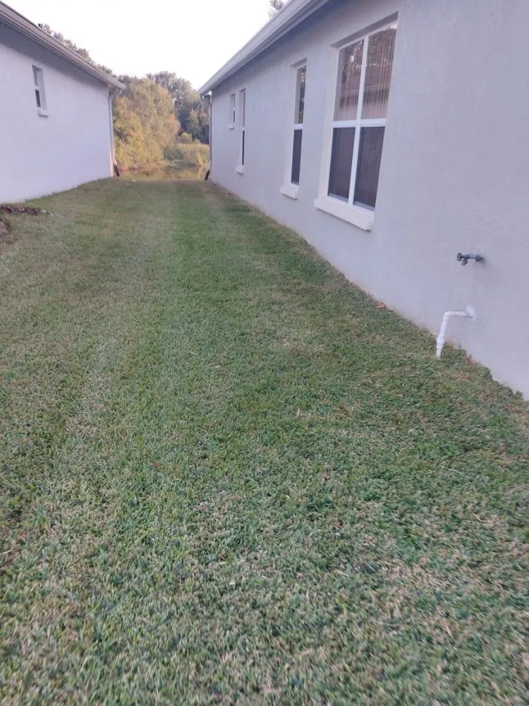 Custom outdoor landscaping for residential properties in Land O Lakes, FL by Eric's Handyman Services