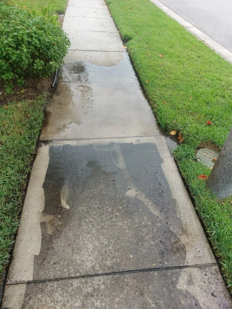 Local lawn mowing service experts serving Land O Lakes, FL - Eric's Handyman Services