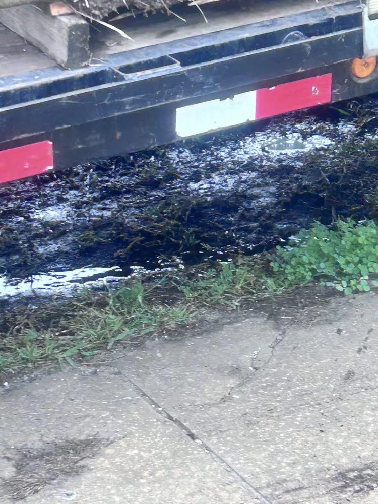 Trusted yard cleanup service in Dover, FL - Eric's Land Management