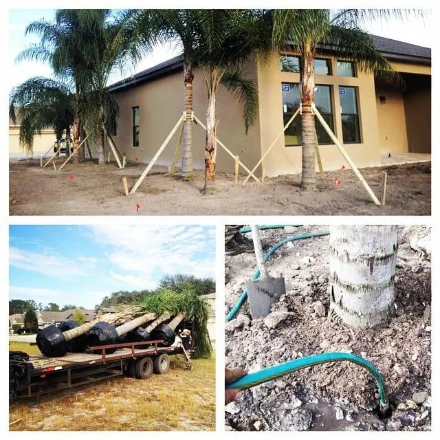 Trusted garden landscaping in Dover, FL - Eric's Land Management