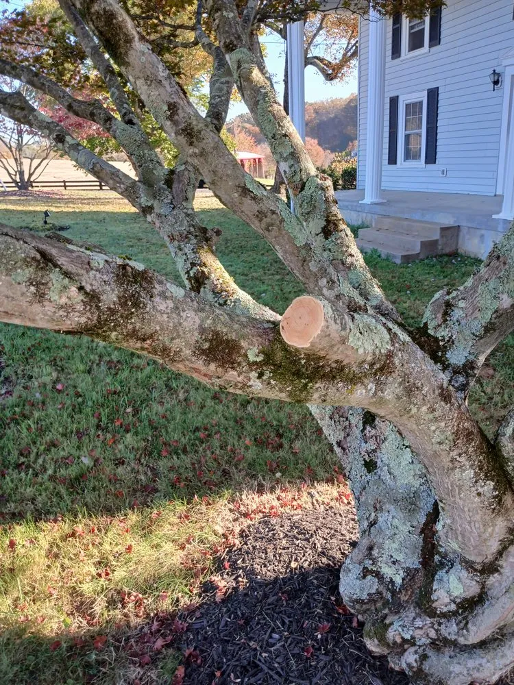 Reliable yard maintenance in Orange, VA - Eric's Landscaping And Home Repair