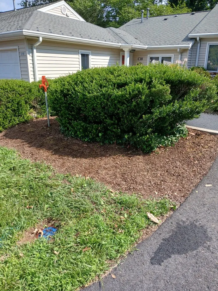 Professional yard cleanup service in Orange, VA by Eric's Landscaping And Home Repair