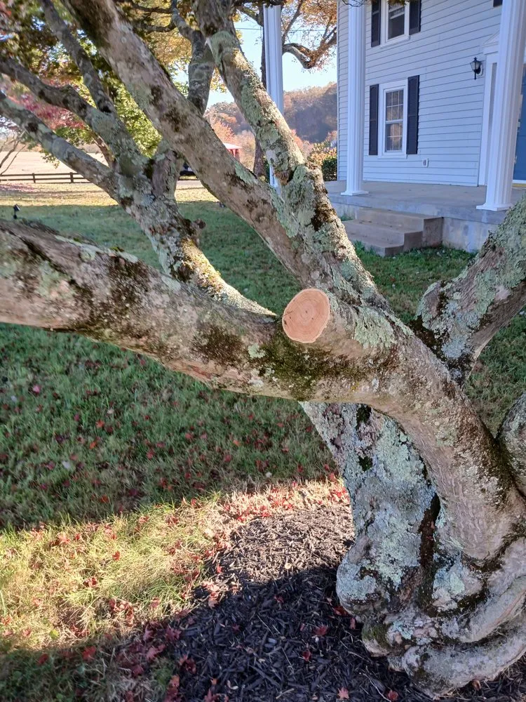 Affordable landscaping services in Orange, VA by Eric's Landscaping And Home Repair