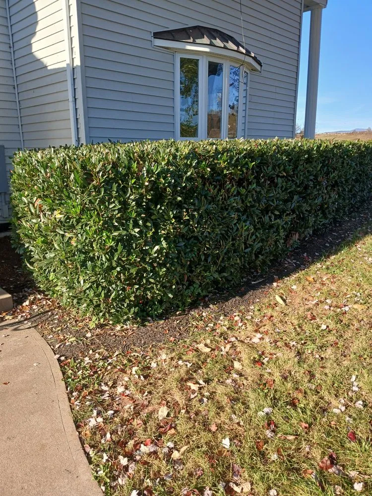 Custom landscaping services experts serving Orange, VA - Eric's Landscaping And Home Repair