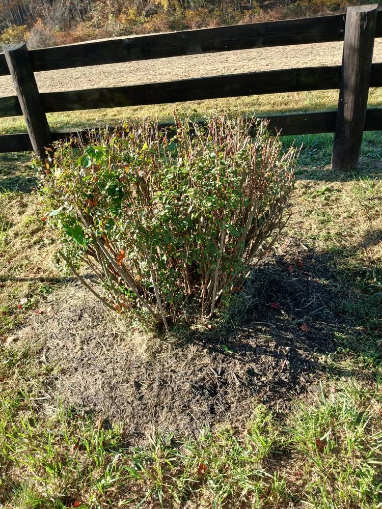 Expert garden landscaping in Orange, VA - Eric's Landscaping And Home Repair