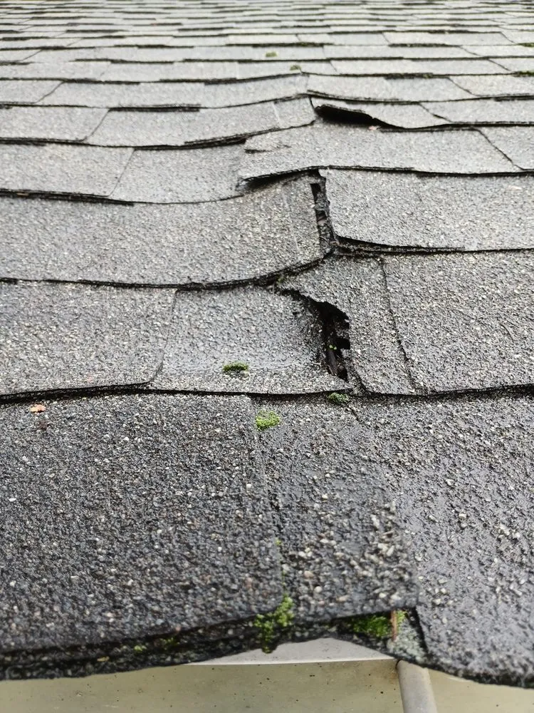 Local yard cleanup service experts serving Orange, VA - Eric's Landscaping And Home Repair