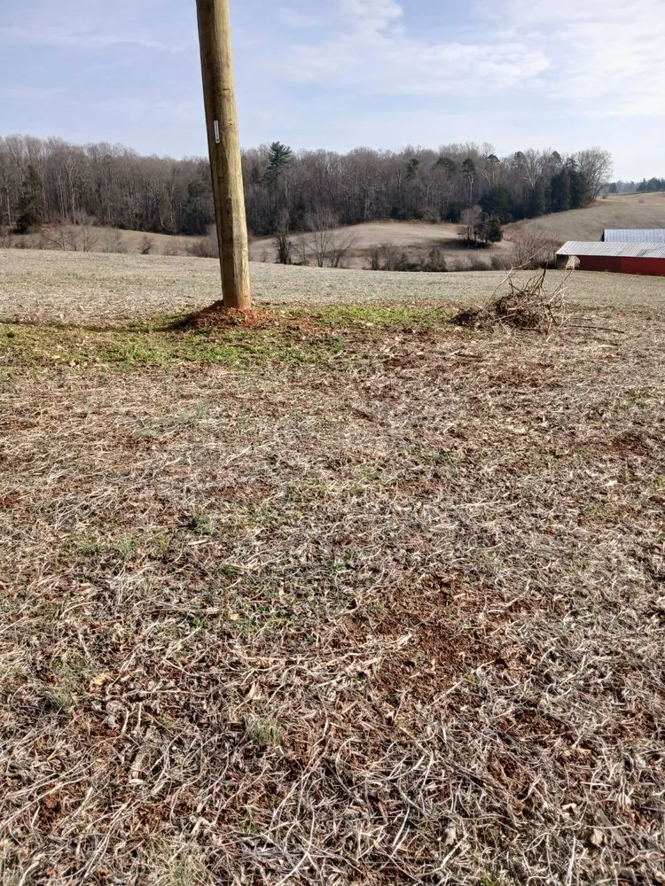 Top-rated residential landscaping for homes across Orange, VA - Eric's Landscaping And Home Repair