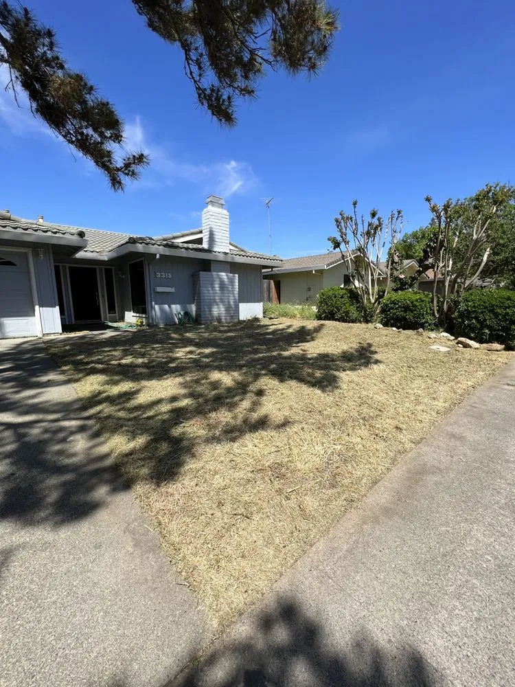 Reliable yard maintenance in Woodland, CA by Eric's Landscaping
