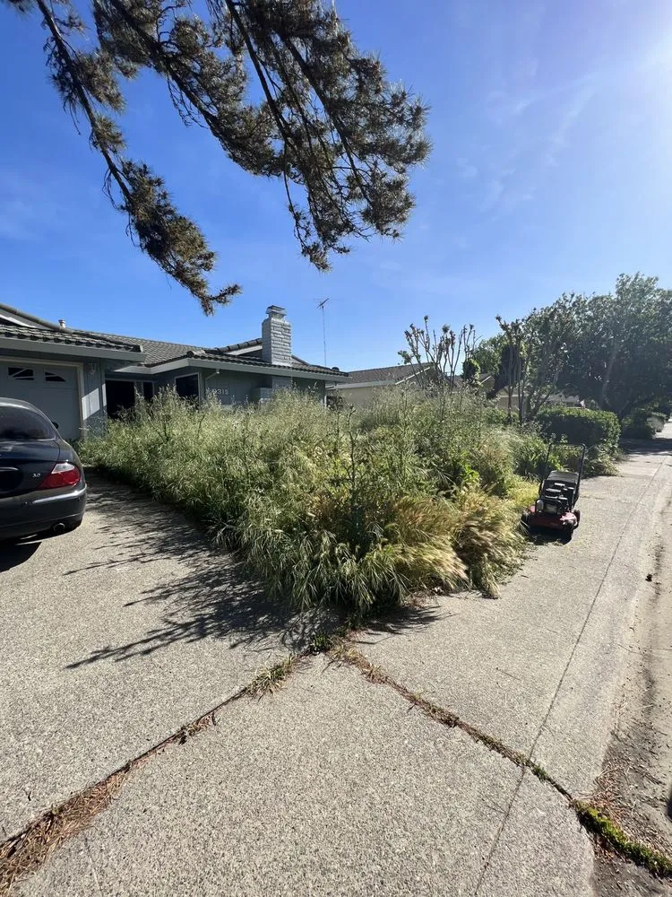 Affordable landscape design in Woodland, CA by Eric's Landscaping