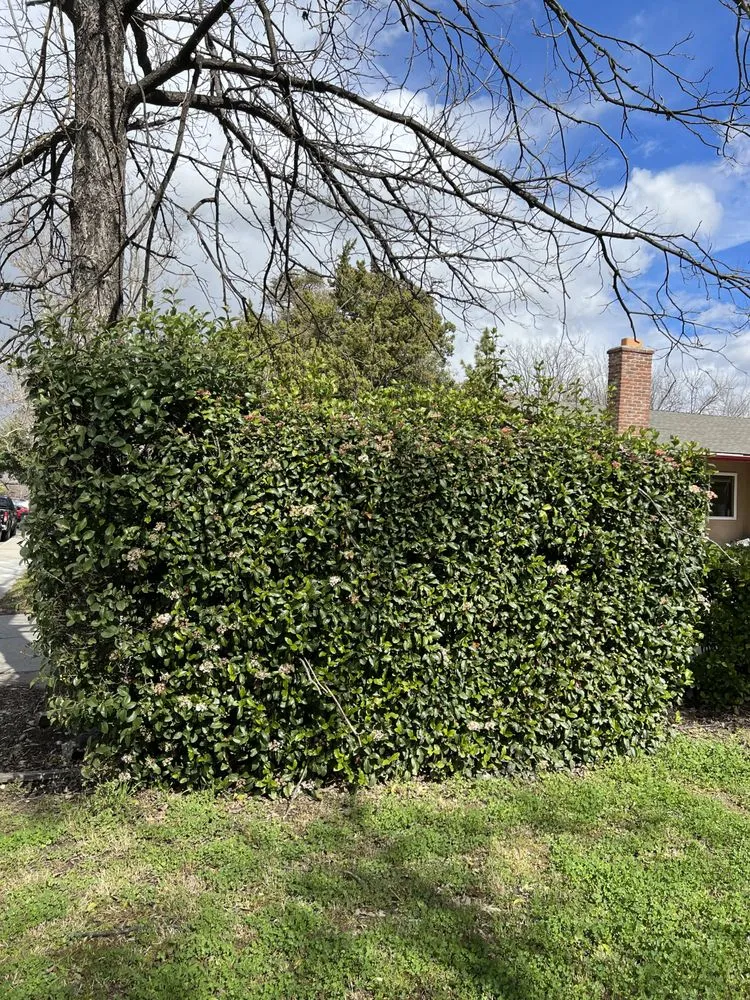 Expert landscape design experts serving Woodland, CA - Eric's Landscaping