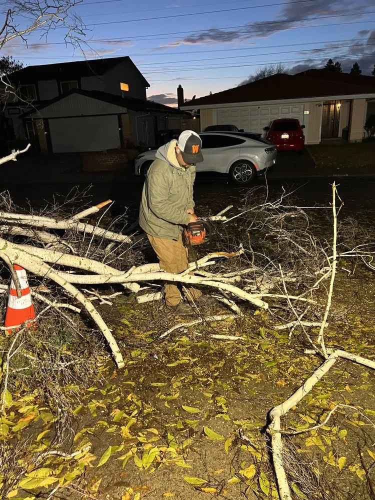 Affordable yard cleanup service experts serving Woodland, CA - Eric's Landscaping