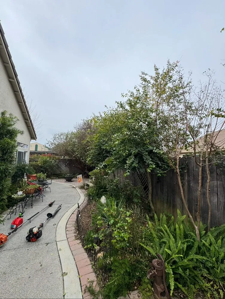 Local landscape installation with custom design in Woodland, CA by Eric's Landscaping