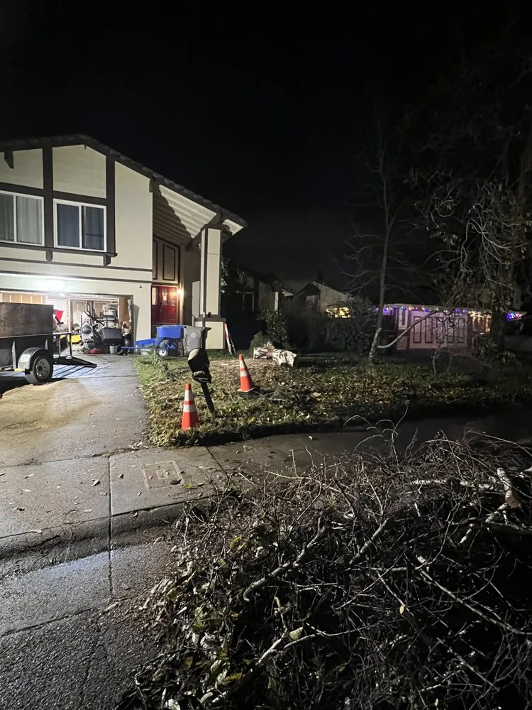 Affordable yard maintenance in Woodland, CA by Eric's Landscaping