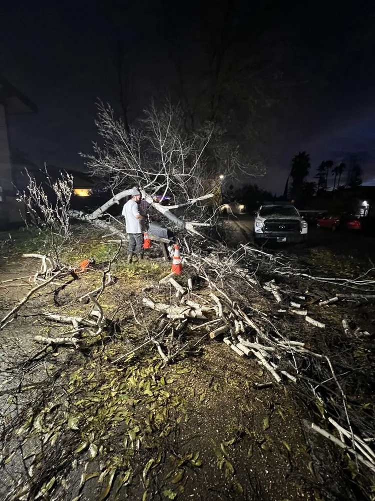 Top-rated yard maintenance in Woodland, CA - Eric's Landscaping