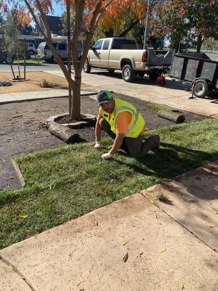 Professional outdoor landscaping in Woodland, CA - Eric's Landscaping