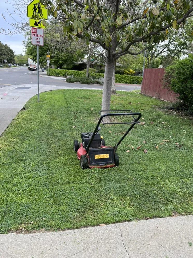 Trusted lawn care service in Woodland, CA by Eric's Landscaping