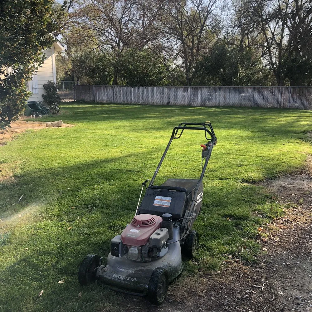 Affordable landscape design in Woodland, CA - Eric's Landscaping