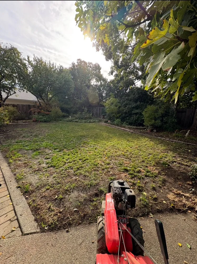 Trusted outdoor landscaping for homes across Woodland, CA - Eric's Landscaping