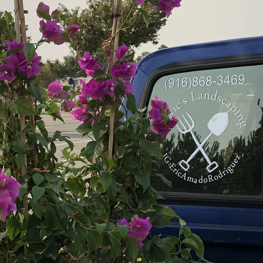 Professional yard maintenance for beautiful yards across Woodland, CA - Eric's Landscaping