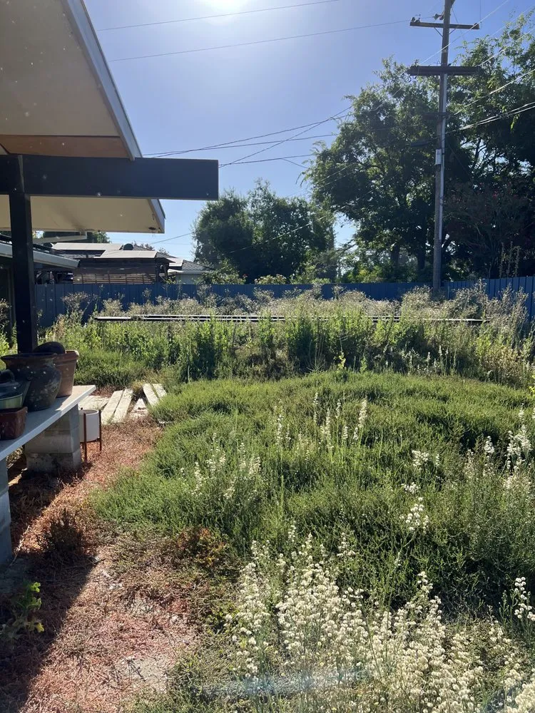 Affordable yard cleanup service in Woodland, CA - Eric's Landscaping