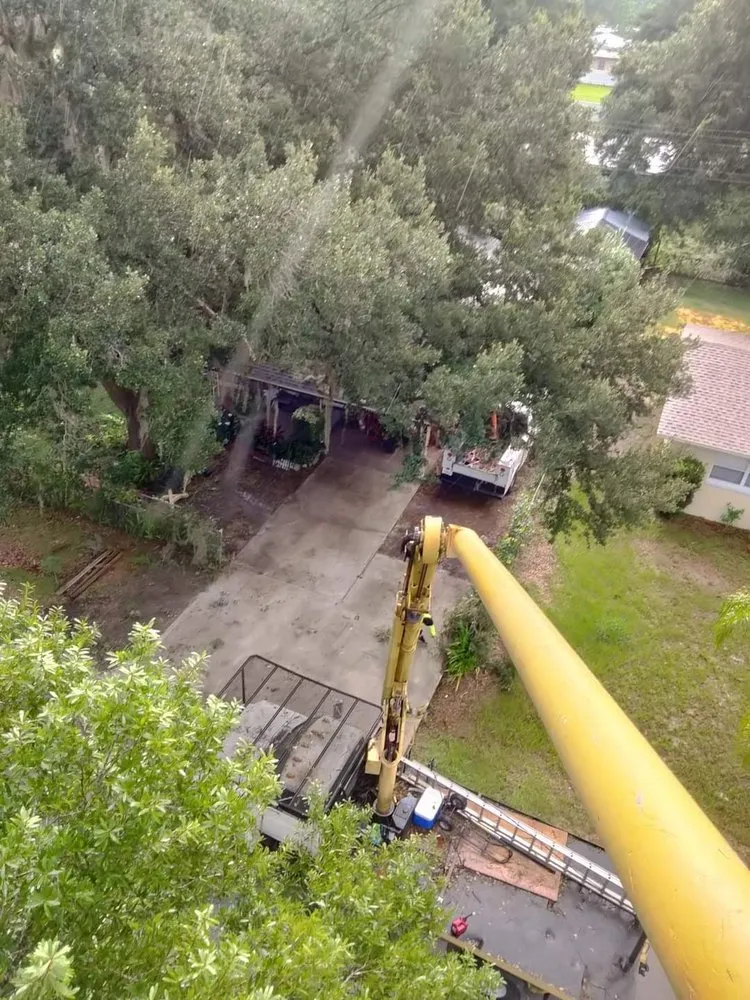 Expert residential landscaping for homes in Plant City, FL by Eric's Lawn & Tree Service