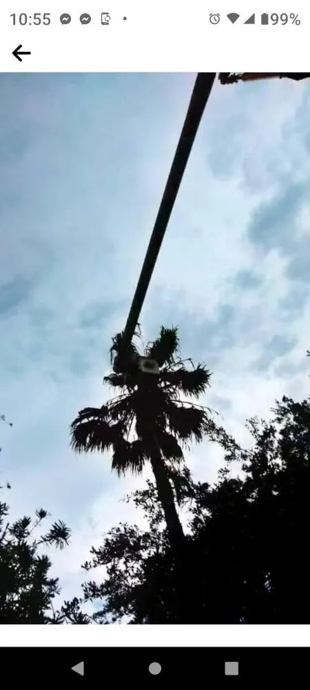 Custom outdoor landscaping experts serving Plant City, FL - Eric's Lawn & Tree Service