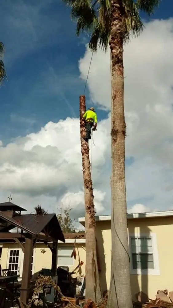 Expert yard maintenance in Plant City, FL by Eric's Lawn & Tree Service