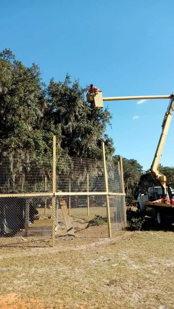 Expert residential landscaping in Plant City, FL by Eric's Lawn & Tree Service