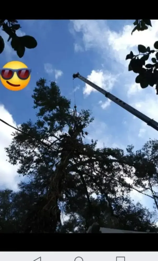 Custom lawn care service near you in Plant City, FL by Eric's Lawn & Tree Service