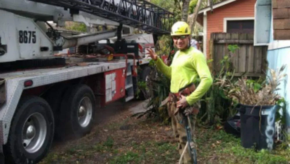 Expert landscape design for outdoor upgrades in Plant City, FL by Eric's Lawn & Tree Service