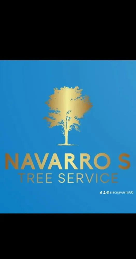 Local yard maintenance in Plant City, FL by Eric's Lawn & Tree Service