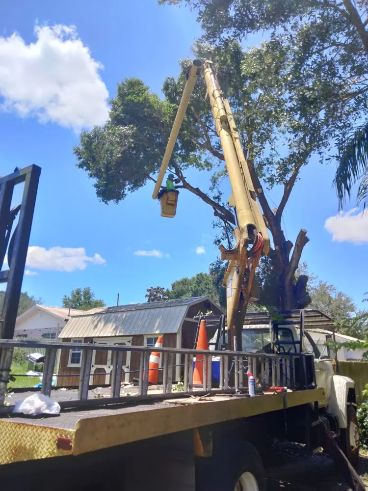 Local yard maintenance for beautiful yards in Plant City, FL by Eric's Lawn & Tree Service