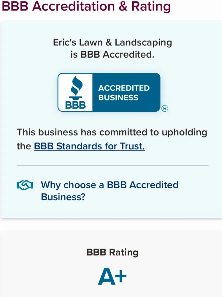 Expert yard cleanup service for outdoor upgrades in Canton, OH by Eric's Lawn and Landscaping