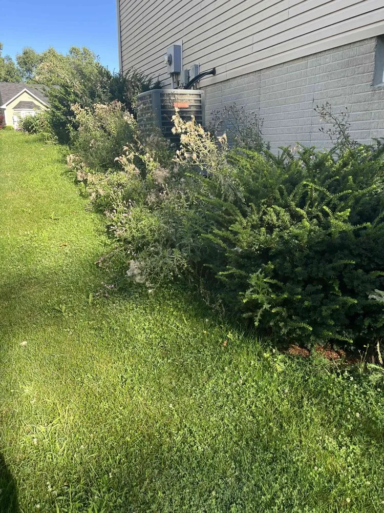 Affordable lawn mowing service near you across Canton, OH - Erics Lawn Care