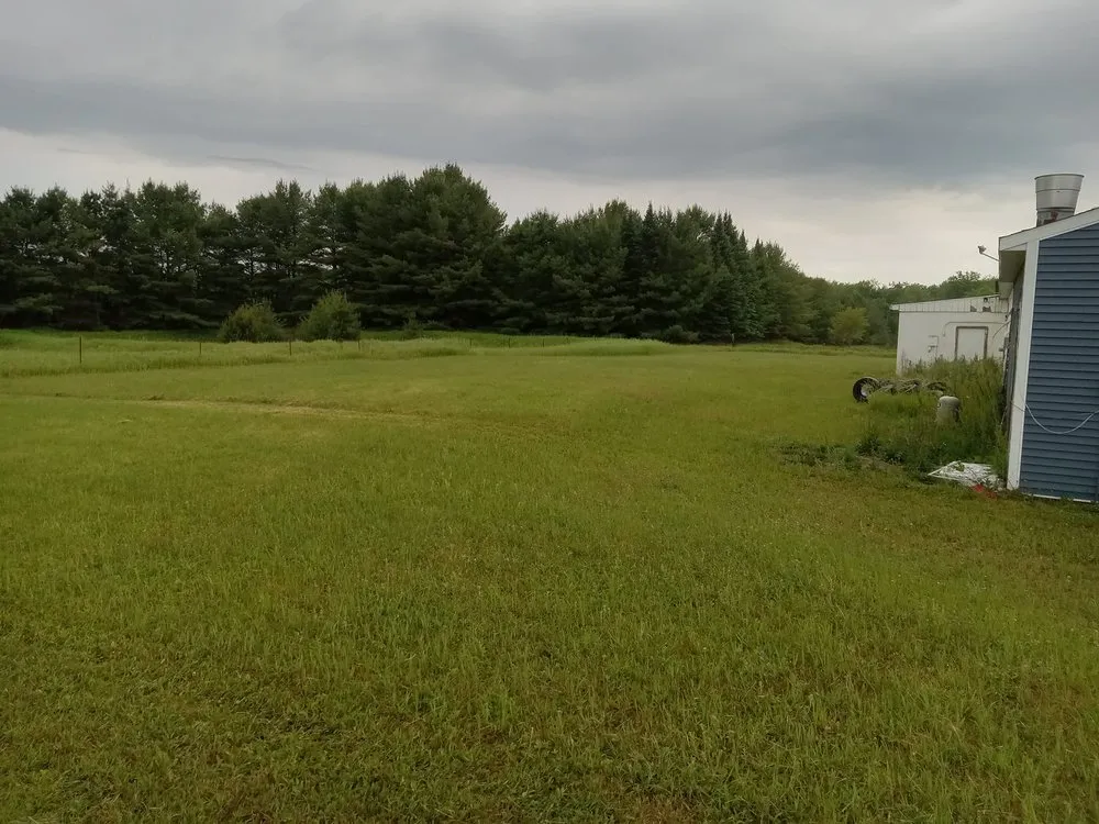 Professional yard cleanup service for beautiful yards across Hale, MI - Eric's Lawn Care