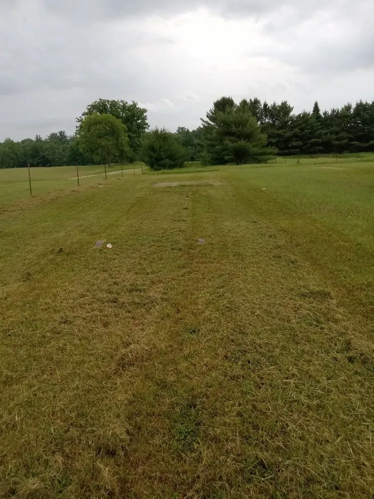 Reliable yard cleanup service experts serving Hale, MI - Eric's Lawn Care