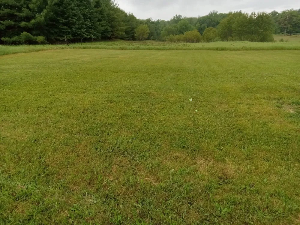 Professional lawn mowing service in Hale, MI by Eric's Lawn Care