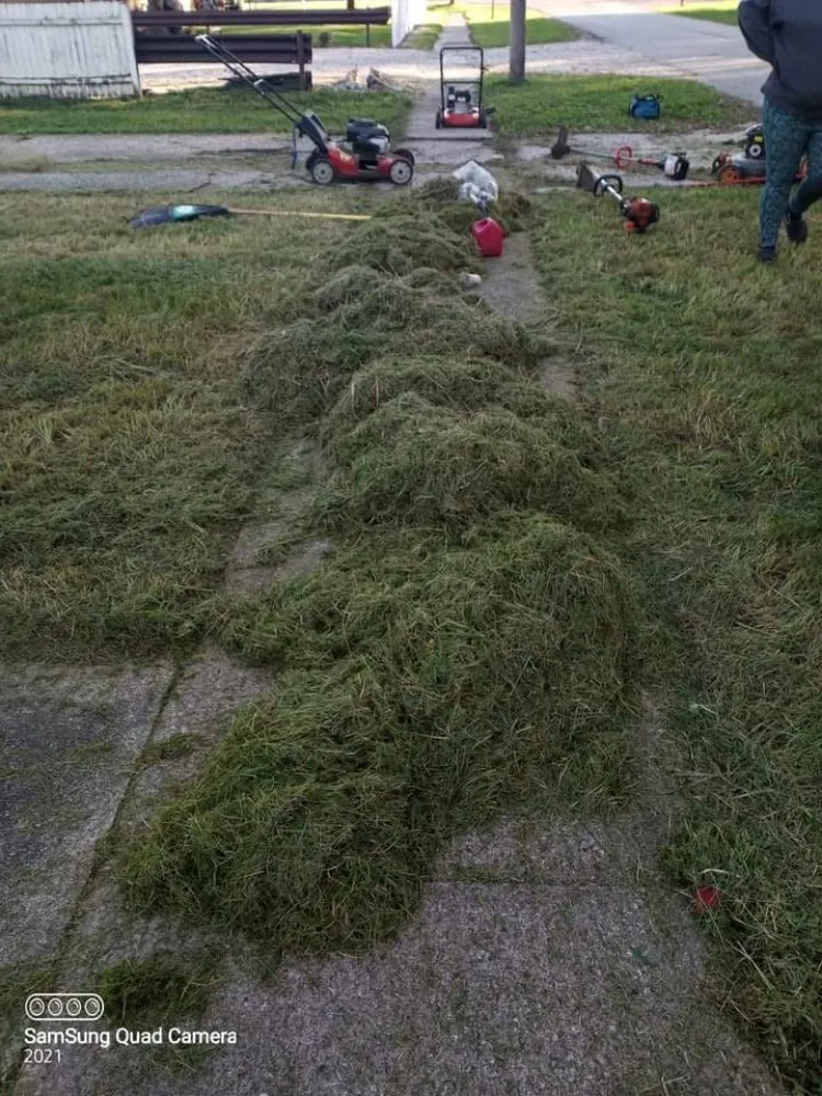 Local lawn care service for outdoor upgrades in Toledo, OH by Eric's lawn care &more