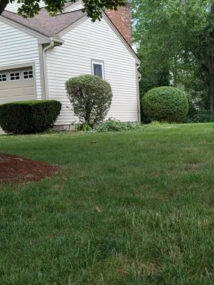 Eric's Lawn Care Service Logo