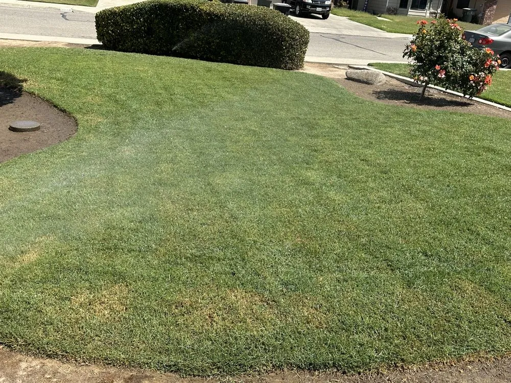 Affordable yard maintenance near you across Visalia, CA - Eric’s Lawn Care