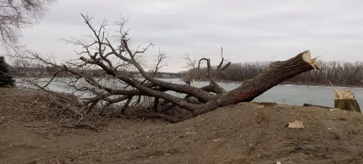 Local lawn mowing service experts serving Sioux City, IA - Eric's Lawn, Landscaping & Tree Removal