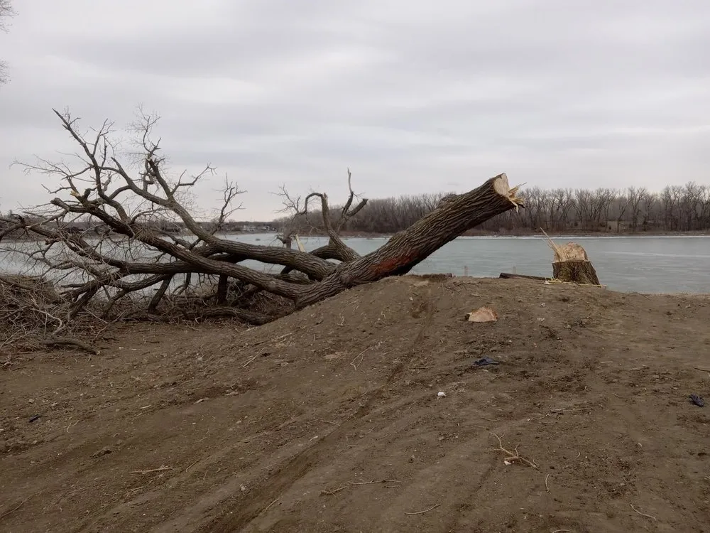 Expert lawn care service in Sioux City, IA - Eric's Lawn, Landscaping & Tree Removal