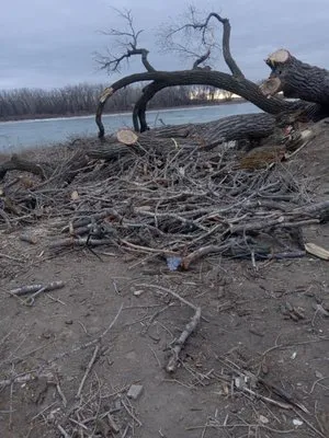 Eric's Lawn, Landscaping & Tree Removal Logo