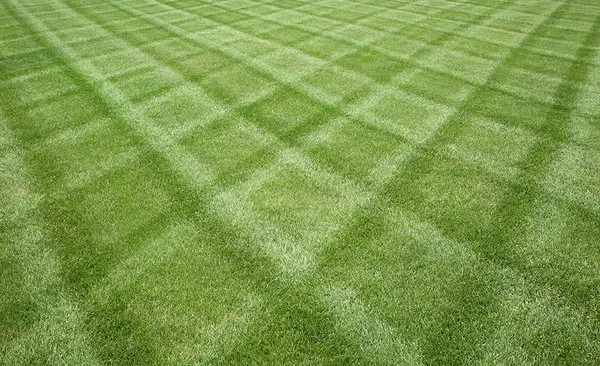 Eric's Lawn Service Logo