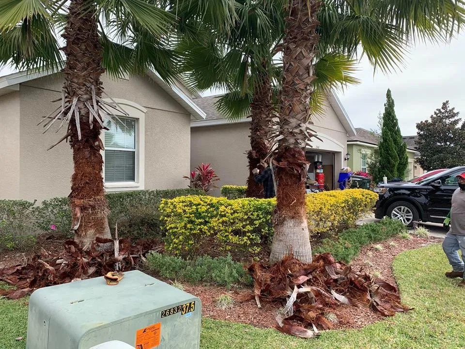 Reliable landscape design for homes across Mulberry, FL - Eric's Lawn Service