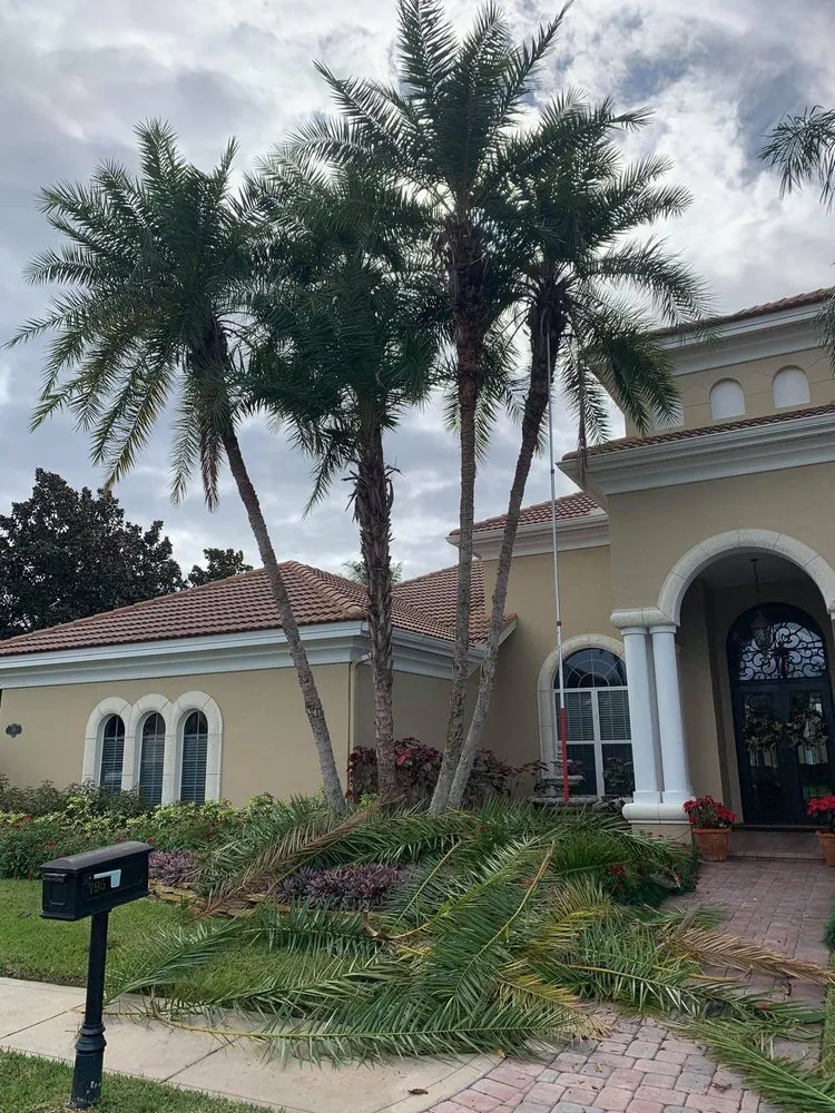 Expert landscaping services near you in Mulberry, FL by Eric's Lawn Service