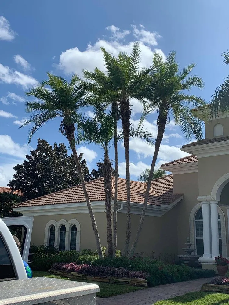 Professional lawn care service with custom design across Mulberry, FL - Eric's Lawn Service