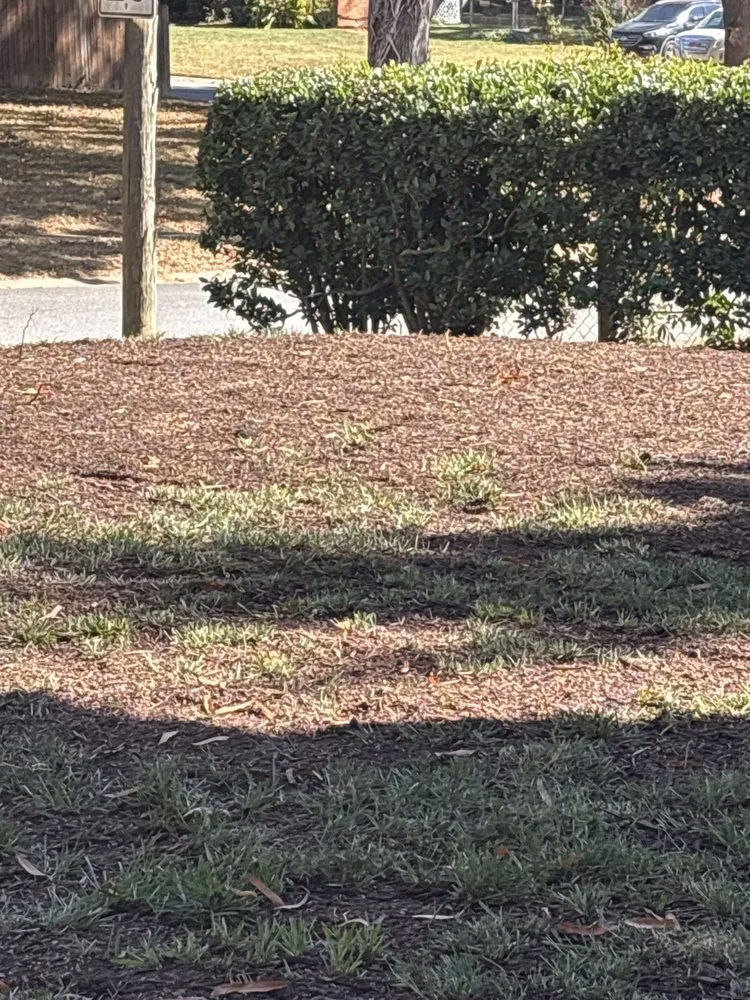 Trusted yard maintenance experts serving Charlotte, NC - Eric's Lawnservice